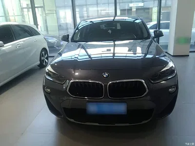 2019 BMW X2 (Import) sDrive20i M Off-Road Package China VI, фото 3, лот 11582305