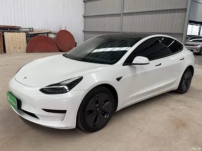 2022 Tesla Model 3 Model Rear-Wheel Drive Version, фото 3, лот 10383352
