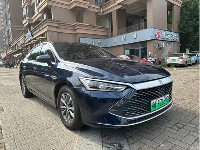 2023 BYD Qin PLUS Champion Edition DM-i 55KM Leading, фото 3, лот 10363431