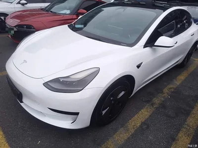 2022 Tesla Model 3 Model Rear-Wheel Drive Version, фото 1, лот 10838613