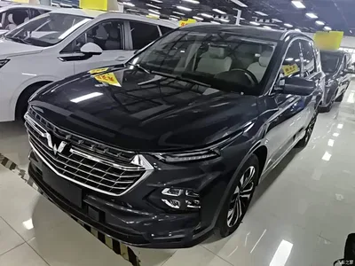 2022 Wuling Motors Wuling Victory 280T 1.5T CVT Flagship, фото 2, лот 10832051