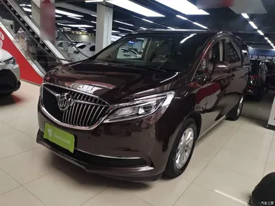 2017 Buick GL8 ES 28T Comfort Type China V, фото 2, лот 10262315