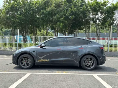 2024 Tesla Model Y Rear-Wheel Drive Version, фото 4, лот 10768057