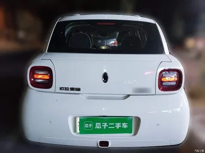 2021 Ora Black Cat 301km Basic Model, фото 3, лот 10330463