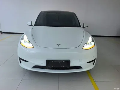 2022 Tesla Model Y Rear-Wheel Drive Version, фото 3, лот 10387481