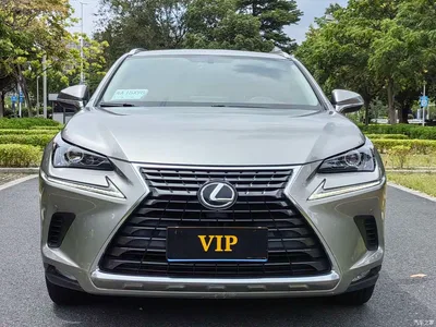 2018 Lexus NX Model 200 FWD Fengxing Edition China V, фото 2, лот 10314385