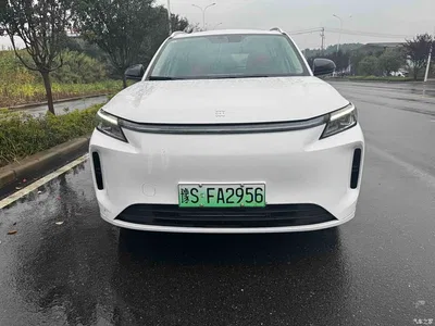 2025 Landian E5 PLUS 165km Long Range 7-seater, фото 2, лот 11643876