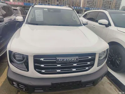 2021 Haval Big Dog 2.0T DCT 4WD Chinese Rural Dog Edition, фото 2, лот 10361678