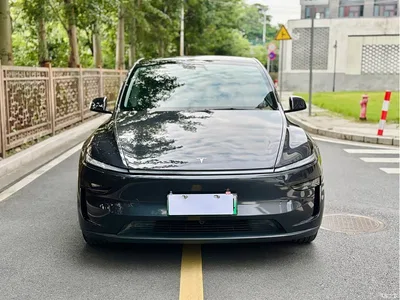 2025 Tesla Model Y Rear-Wheel Drive, фото 2, лот 10398396