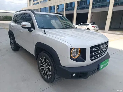 2021 Haval Big Dog 1.5T DCT 2WD Border Collie Edition, фото 4, лот 10361309