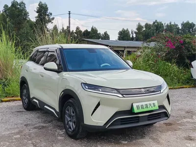 2025 BYD Yuan UP Smart Drive Edition 401KM Leading Type, фото 1, лот 11082105