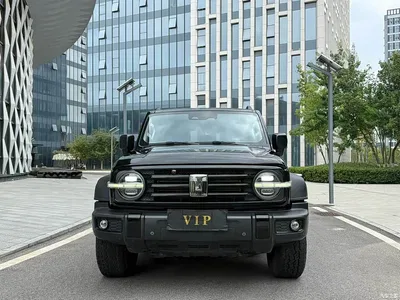 2021 Tank 300 Off-road Version 2.0T Conqueror, фото 2, лот 10345138
