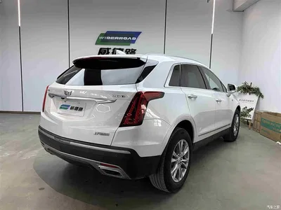 2021 Cadillac XT5 28T Luxury, фото 4, лот 10292244