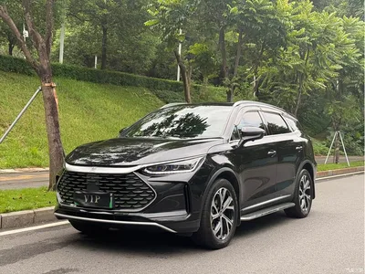 2025 BYD Tang New Energy DM-i 115KM Prestige Type, фото 1, лот 10273351