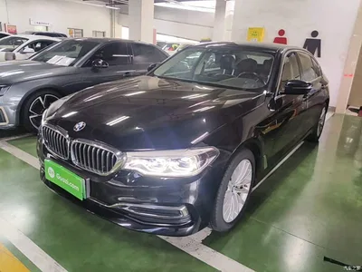2020 BMW 5 Series New Energy 530Le Range Upgrade Luxury Package, фото 1, лот 10474127