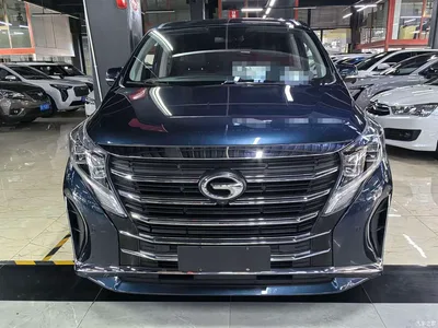 2021 GAC Trumpchi Trumpchi M8 Leading Show Series 390T Ultimate Edition, фото 2, лот 10416572
