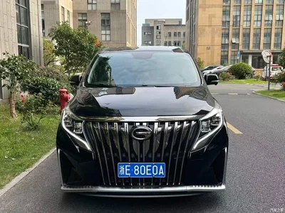 2021 GAC Trumpchi Trumpchi M8 Master Series 390T Ultimate Edition, фото 2, лот 11139624