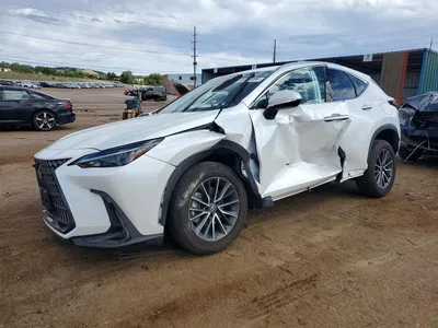 2022 LEXUS NX 250, фото 1, лот 11059715
