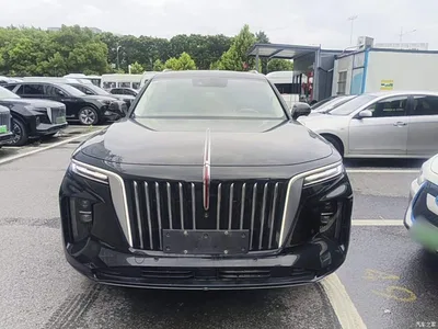 2021 Hongqi E-HS9 460km Flagship Comfort 6-seater, фото 3, лот 10304474