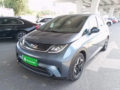 2025 BYD Dolphin 420km Vitality Edition, фото 1, лот 10264416