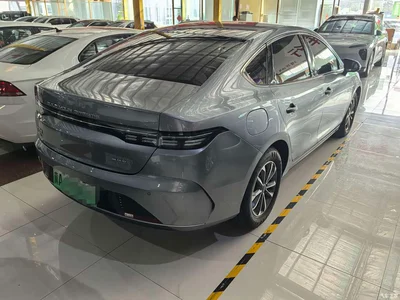 2024 BYD Destroyer 05 Glory Edition DM-i 55KM Luxury, фото 4, лот 10662658