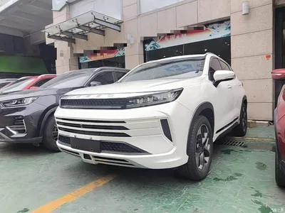 2019 Exeed Windchaser 1.6T DCT Star Wisdom Edition, фото 2, лот 11144939