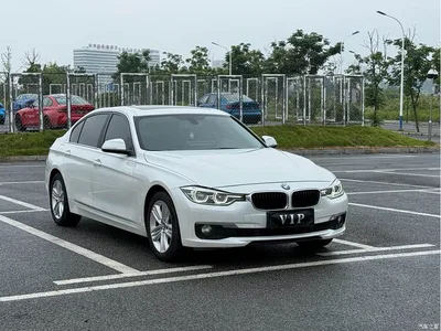2016 BMW 3 Series 320Li Progressive, фото 3, лот 10460183