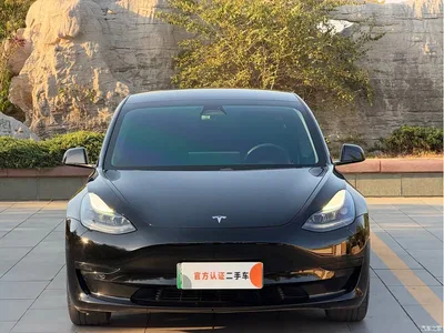 2021 Tesla Model 3 Standard Range Rear-Wheel Drive Upgrade, фото 2, лот 11550138