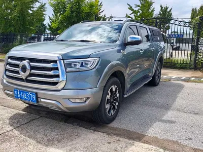 2021 Great Wall Pao 2.0T Passenger Global Auto Gasoline 4WD Premium Standard Trailer GW4C20B, фото 1, лот 10246190