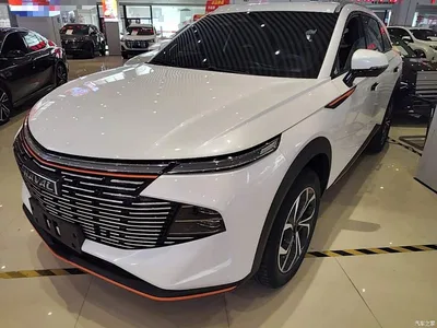 2022 Haval Shenshou 1.5T Smart Enjoyment Edition, фото 2, лот 10285567