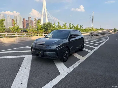 2023 Leapmotor C11 Extended Range 200 Comfort Edition, фото 1, лот 10316183