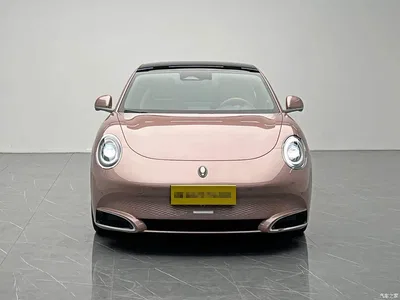 2022 Ora Lightning Cat 555km Premium Edition, фото 2, лот 10330380