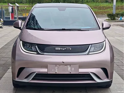 2021 BYD Dolphin Model 405km Fashion Edition, фото 2, лот 11538519