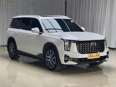 2024 GAC Trumpchi Trumpchi GS8 Navigator Series 2.0TGDI 2WD Luxury Smart Connect Edition, фото 3, лот 10416428