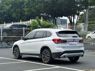 2022 BMW X1 Facelift xDrive25Li Premium Edition, фото 3, лот 10396666