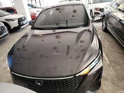 2023 Changan Ruicheng PLUS 1.5T DCT Navigation Edition, фото 3, лот 10273465