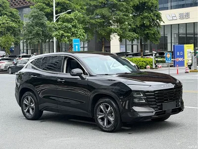 2023 Jetour Dasheng 1.5T DCT Starlight PRO, фото 3, лот 10822883