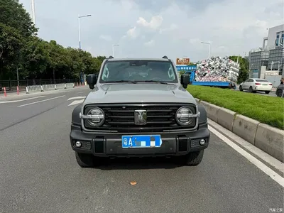 2021 Tank 300 Off-road Version 2.0T Conqueror, фото 2, лот 10344604
