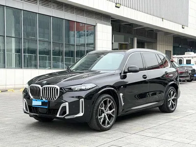 2023 BMW X5 xDrive 30Li Premium M Sport Package, фото 1, лот 10319486