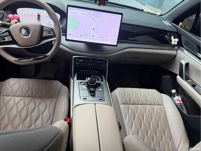 2024 BYD Tang New Energy DM-i Honor Edition 112KM Premium, фото 4, лот 11496787