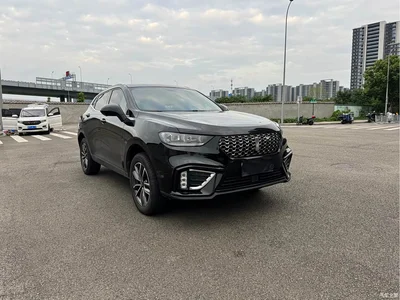 2021 WEY VV5 1.5T 2WD Smart Pioneer, фото 3, лот 10335907