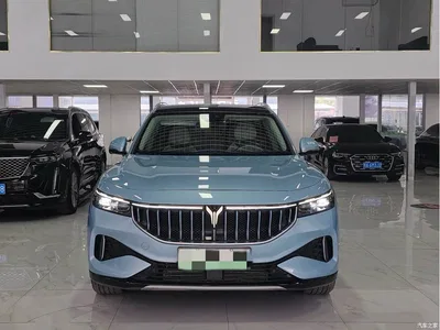 2021 Voyah Auto VOYAH FREE AWD Standard Range Extender Exclusive Luxury Package, фото 2, лот 10311082