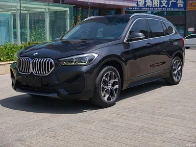 2021 BMW X1 sDrive25Li Leading, фото 3, лот 10466627