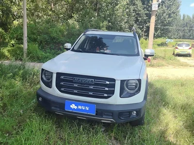 2021 Haval Big Dog 1.5T DCT 2WD Labrador Edition, фото 2, лот 10361712