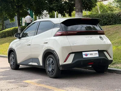2025 Byd Seagull, фото 4, лот 10245377