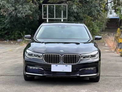 2016 BMW 7 Series 740Li Leading Edition, фото 2, лот 10458818