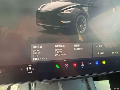 2022 Tesla Model Y Rear-Wheel Drive Version, фото 2, лот 10662236