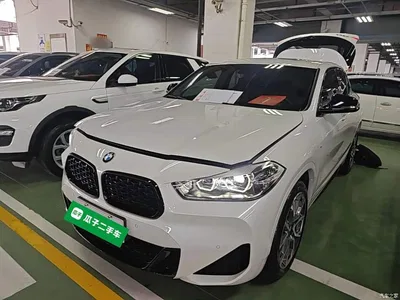 2022 BMW X2 sDrive25i Black Night Edition, фото 1, лот 10475497