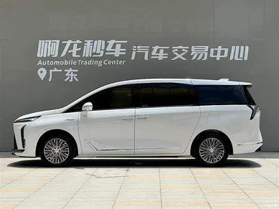 2024 Buick GL8, фото 3, лот 10242976