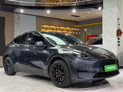 2024 Tesla Model Y Rear-Wheel Drive Version, фото 3, лот 11210430